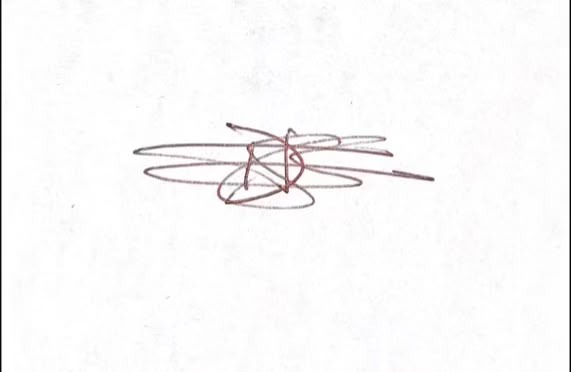 Signature preview